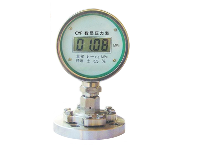 CYF-100數顯壓力表